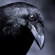 Raven7